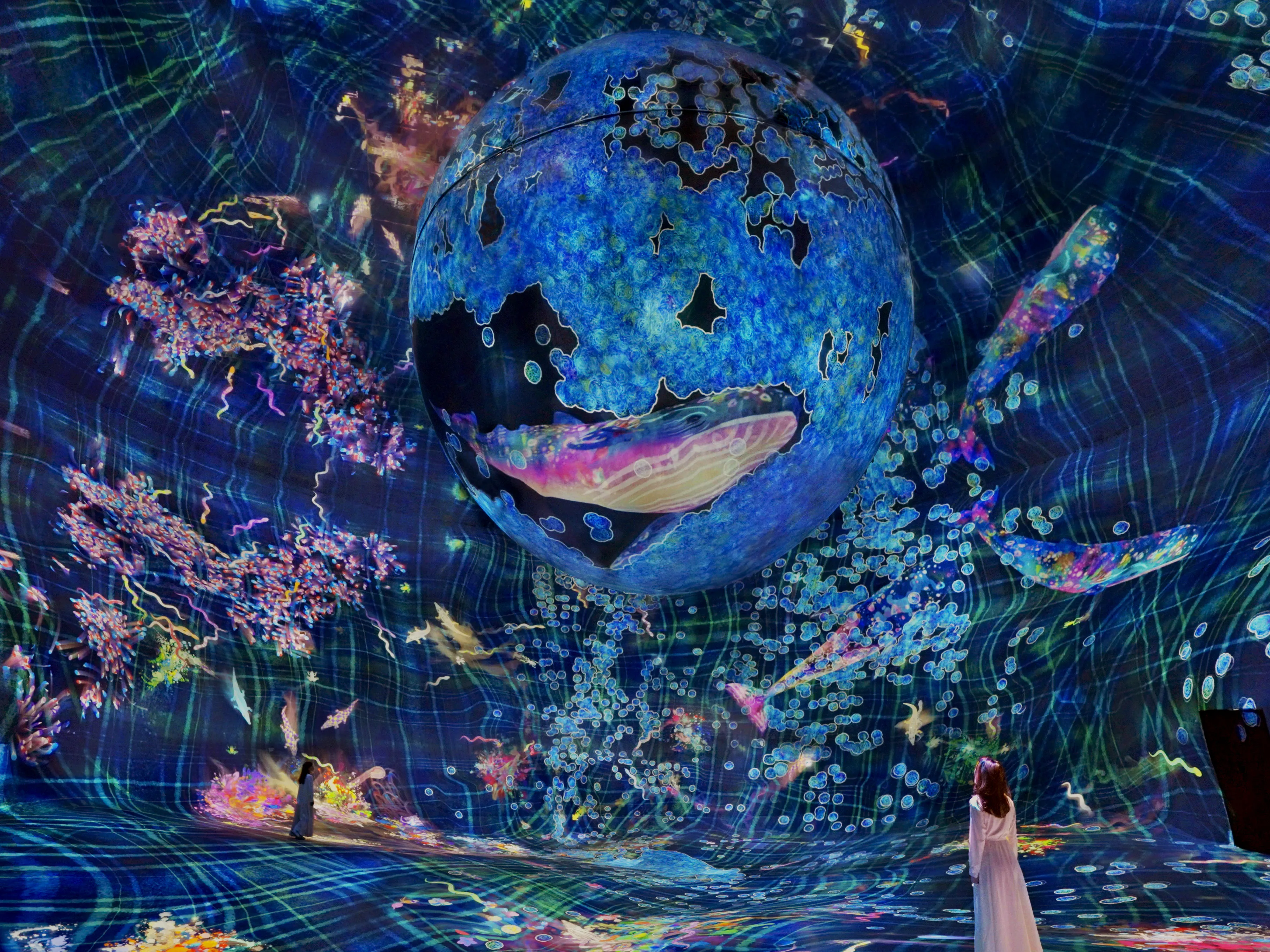 teamLab Abu Dhabi drone show opening