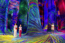 teamLab flowers and people infinite bloom